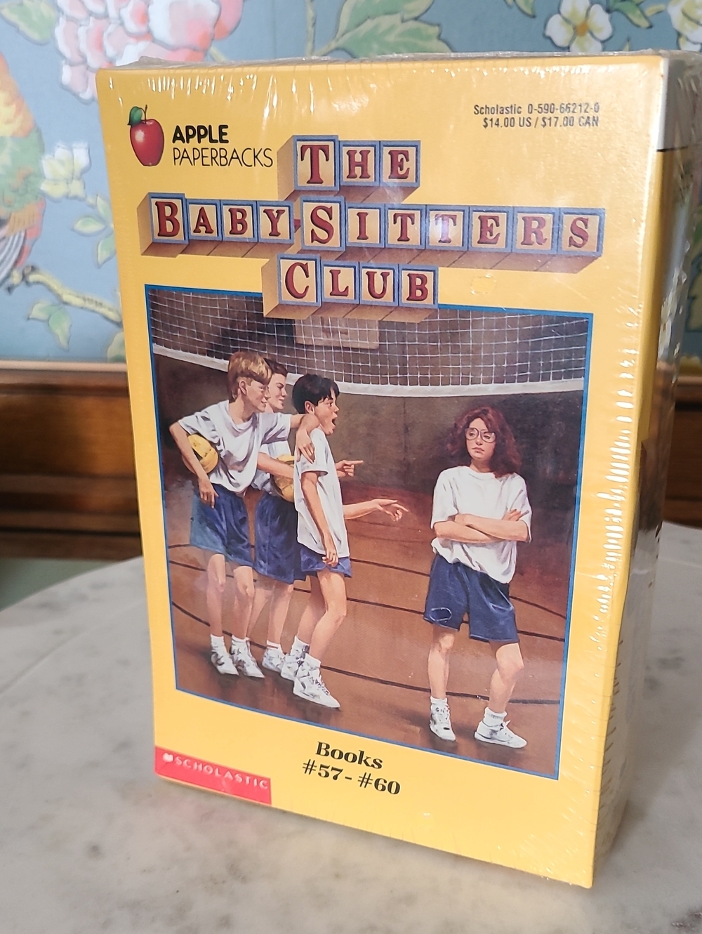 Babysitters Club Box Set Books